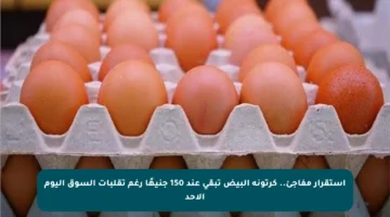 استقرار مفاجئ.. كرتونة البيض تبقى عند 150 جنيهًا رغم تقلبات السوق اليوم الأحد
